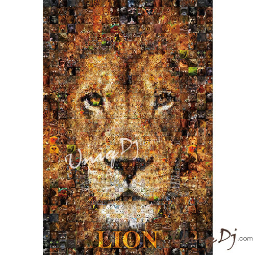LionIlI1000