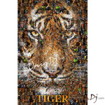 TigerIѪI1000